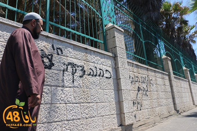 abo 3ajwa ja (5).JPG